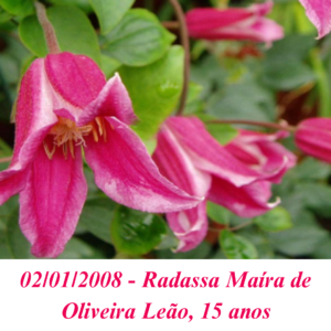 Imagem de Radassa Maíra de Oliveira Leão