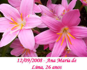 Imagem de Ana Maria de Lima