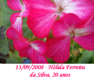 Imagem de Hélida Ferreira da Silva