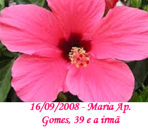 Imagem de Maria Ap. Gomes e a irmã