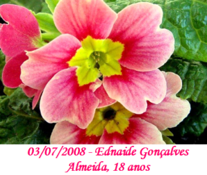 Imagem de Edinaide Gonçalves de Almeida