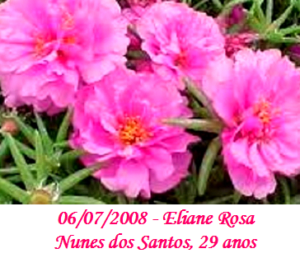 Imagem de Eliane Rosa Antunes de Souza
