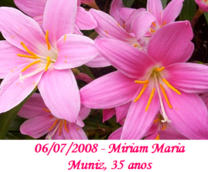 Imagem de Miriam Maria Muniz