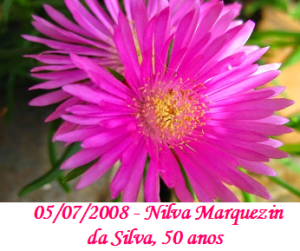 Imagem de Nilva Marquezin da Silva