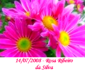 Imagem de Rosa Ribeiro da Silva