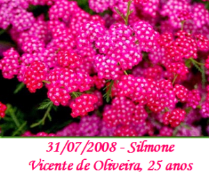 Imagem de Silmone Vicente de Oliveira