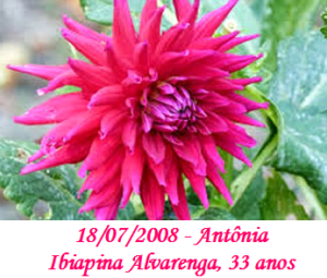 Imagem de Antonia Ipiabina Alvarenga