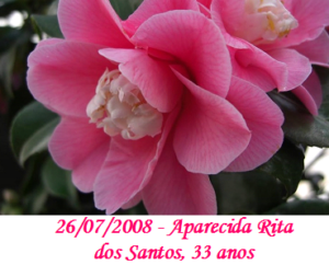 Imagem de Aparecida Rita dos Santos
