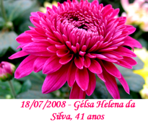 Imagem de Gélsa Helena da Silva 