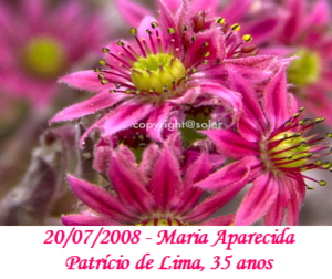 Imagem de Maria Aparecida Patrício de Lima