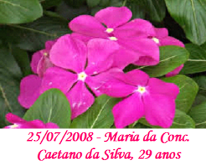 Imagem de Maria Conceição Caetano da Silva