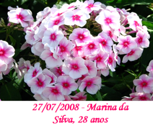 Imagem de Marina da Silva