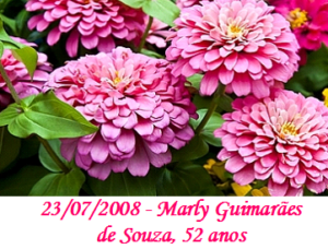 Imagem de Marly Guimarães de Souza