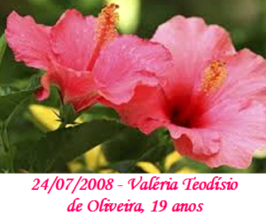 Imagem de Valéria Teodísio de Olveira