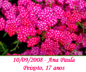 Imagem de Ana Paula Peixoto