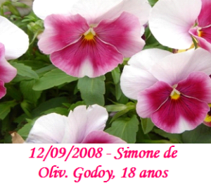 Imagem de Simone Oliv. Godoy