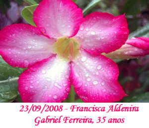Imagem de Francisca Aldenira Gabriel Ferreira