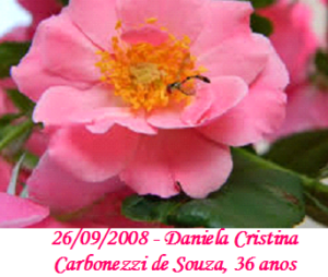 Imagem de Daniela Cristina Carbonezzi de Souza